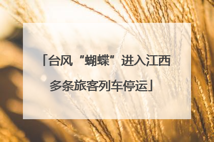 台风“蝴蝶”进入江西 多条旅客列车停运