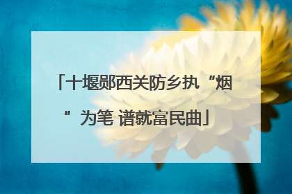 十堰郧西关防乡执“烟”为笔 谱就富民曲