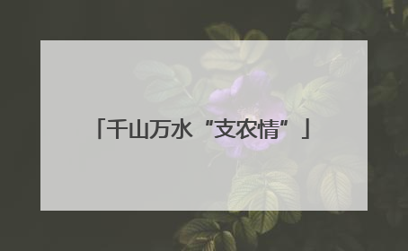 千山万水“支农情”