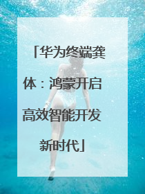 华为终端龚体：鸿蒙开启高效智能开发新时代