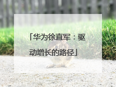 华为徐直军：驱动增长的路径