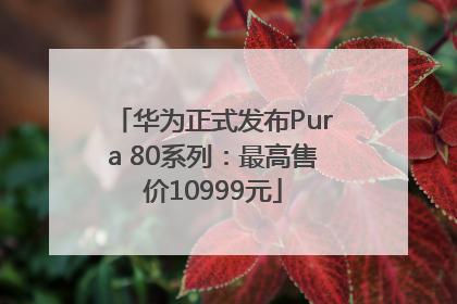 华为正式发布Pura 80系列：最高售价10999元