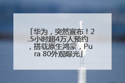 华为，突然宣布！2.5小时超4万人预约，搭载原生鸿蒙，Pura 80外观曝光