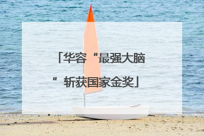 华容“最强大脑”斩获国家金奖