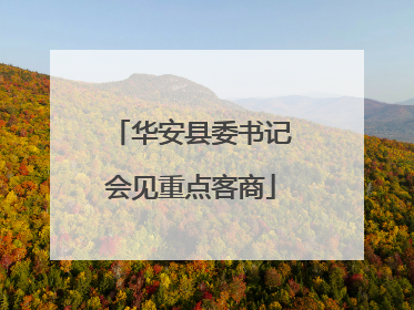 华安县委书记会见重点客商