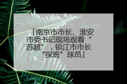 南京市市长、淮安市委书记现场观看“苏超”，镇江市市长“探班”球员