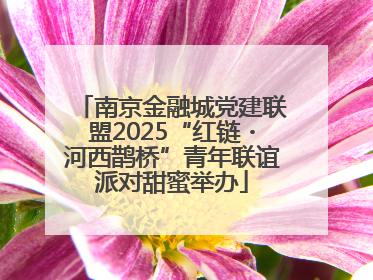 南京金融城党建联盟2025“红链・河西鹊桥”青年联谊派对甜蜜举办