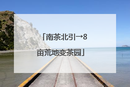南茶北引→8亩荒地变茶园
