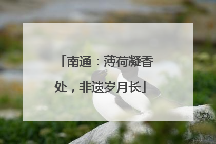 南通：薄荷凝香处，非遗岁月长