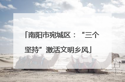 南阳市宛城区：“三个坚持”激活文明乡风