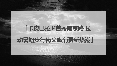 卡皮巴拉IP首秀南京路 拉动暑期步行街文旅消费新热潮