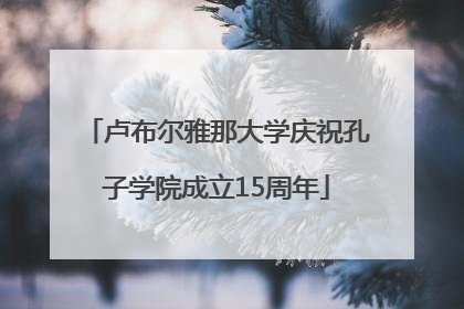 卢布尔雅那大学庆祝孔子学院成立15周年