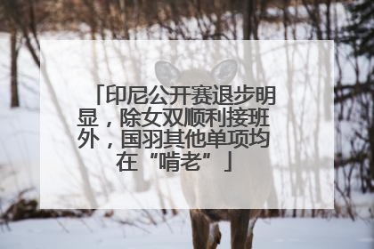 印尼公开赛退步明显,除女双顺利接班外,国羽其他单项均在“啃老”