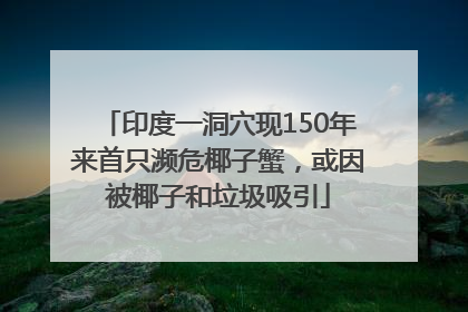印度一洞穴现150年来首只濒危椰子蟹，或因被椰子和垃圾吸引