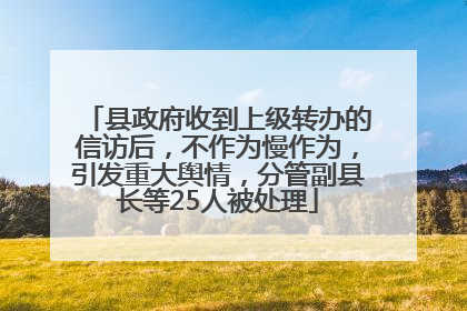 县政府收到上级转办的信访后，不作为慢作为，引发重大舆情，分管副县长等25人被处理