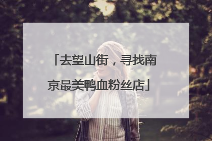 去望山街，寻找南京最美鸭血粉丝店