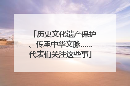 历史文化遗产保护、传承中华文脉……代表们关注这些事