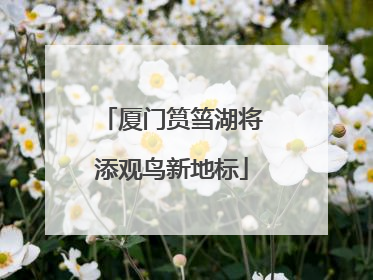 厦门筼筜湖将添观鸟新地标