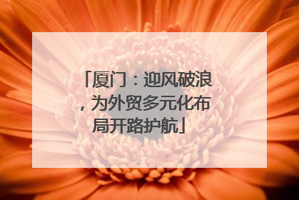 厦门：迎风破浪，为外贸多元化布局开路护航