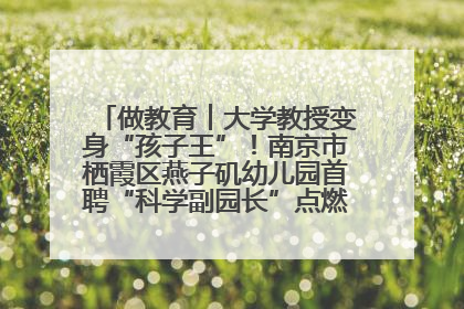 做教育︱大学教授变身“孩子王”！南京市栖霞区燕子矶幼儿园首聘“科学副园长”点燃萌娃科学梦