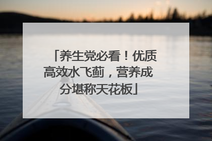 养生党必看！优质高效水飞蓟，营养成分堪称天花板