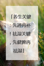 养生关键：先通再补！祛湿关键，先健脾再祛湿
