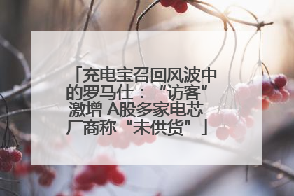 充电宝召回风波中的罗马仕：“访客”激增 A股多家电芯厂商称“未供货”
