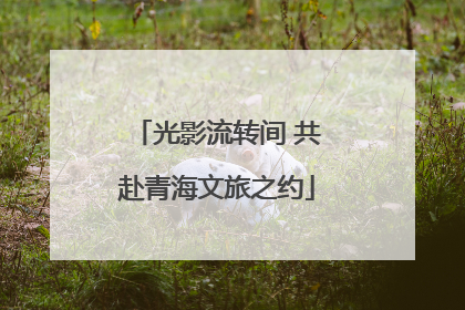 光影流转间 共赴青海文旅之约