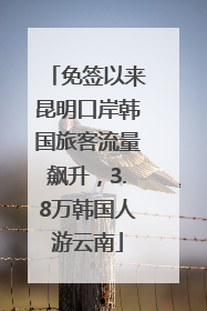 免签以来昆明口岸韩国旅客流量飙升，3.8万韩国人游云南