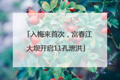 入梅来首次，富春江大坝开启11孔泄洪
