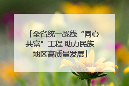 全省统一战线“同心共富”工程 助力民族地区高质量发展
