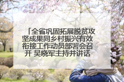全省巩固拓展脱贫攻坚成果同乡村振兴有效衔接工作动员部署会召开 吴晓军主持并讲话 罗东川作安排部署
