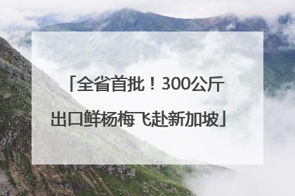 全省首批！300公斤出口鲜杨梅飞赴新加坡