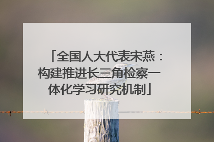 全国人大代表宋燕：构建推进长三角检察一体化学习研究机制