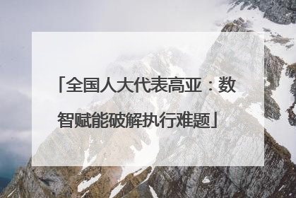 全国人大代表高亚：数智赋能破解执行难题