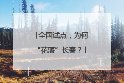 全国试点，为何“花落”长春？
