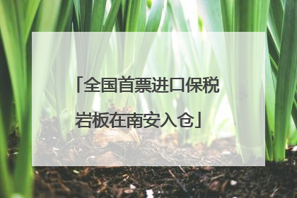 全国首票进口保税岩板在南安入仓