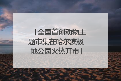 全国首创动物主题市集在哈尔滨极地公园火热开市