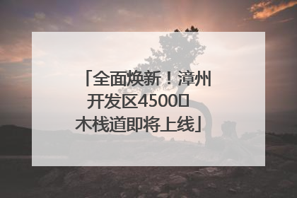 全面焕新！漳州开发区4500㎡木栈道即将上线