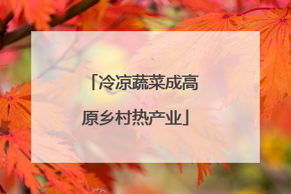 冷凉蔬菜成高原乡村热产业