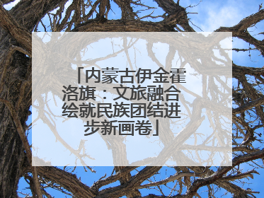 内蒙古伊金霍洛旗：文旅融合绘就民族团结进步新画卷