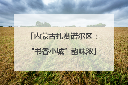 内蒙古扎赉诺尔区：“书香小城”韵味浓