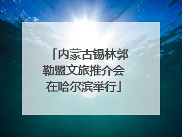 内蒙古锡林郭勒盟文旅推介会在哈尔滨举行
