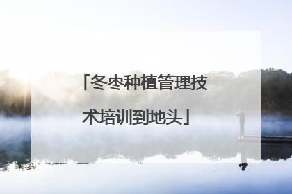 冬枣种植管理技术培训到地头