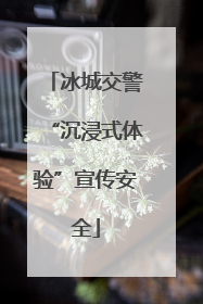 冰城交警“沉浸式体验”宣传安全