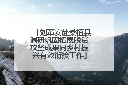 刘革安赴桑植县调研巩固拓展脱贫攻坚成果同乡村振兴有效衔接工作