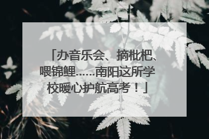 办音乐会、摘枇杷、喂锦鲤……南阳这所学校暖心护航高考！