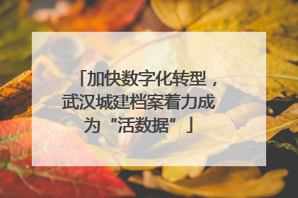 加快数字化转型，武汉城建档案着力成为“活数据”