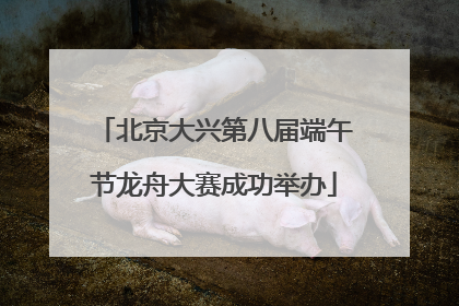 北京大兴第八届端午节龙舟大赛成功举办