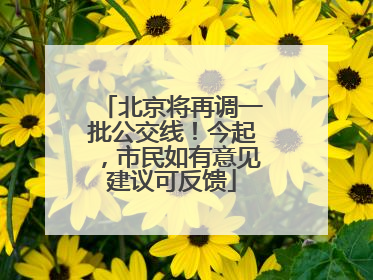 北京将再调一批公交线！今起，市民如有意见建议可反馈